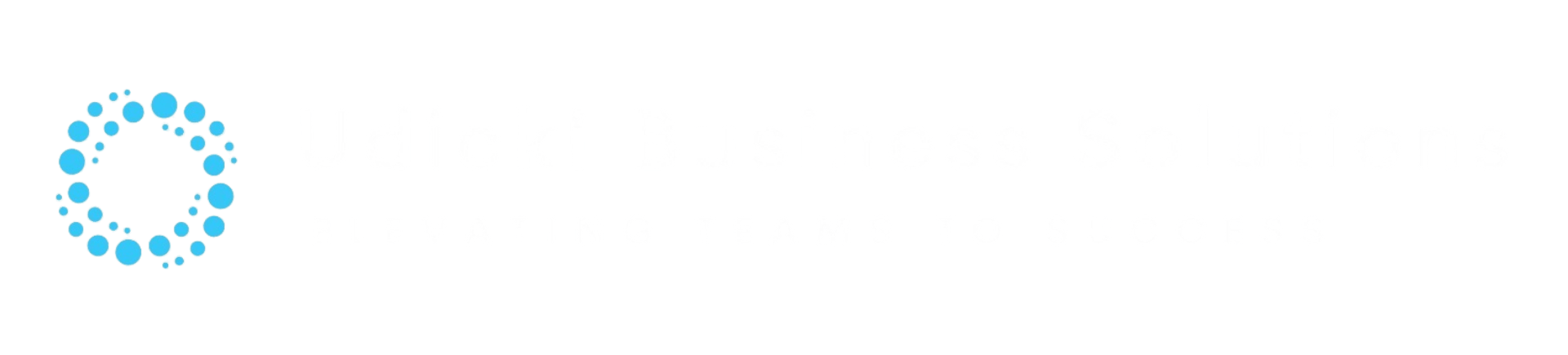 Udicki Business Solution